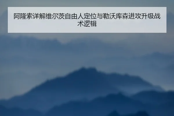 阿隆索详解维尔茨自由人定位与勒沃库森进攻升级战术逻辑